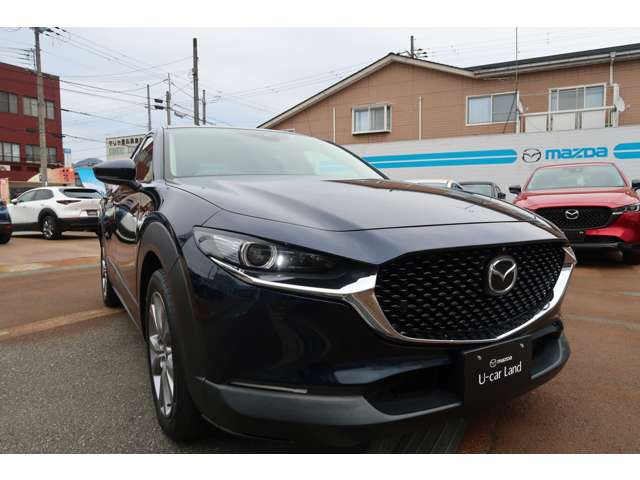 CX-301.8 XD プロアクティブ ツーリングセレクション 4WD