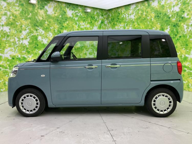 ムーヴキャンバスセオリー X