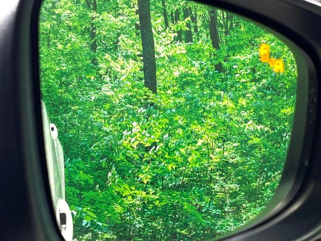 �y�u���C���h�X�|�b�g���j�^�����O�z���s���A�h�A�~���[�̎��p�ɂȂ�₷���ӏ��Ɍ㑱�Ԃ��ڋ߂���ƃT�C�h�~���[�t�߂Ɍx����\���A�h���C�o�[�ɒ��ӊ��N�����Ă���܂��B