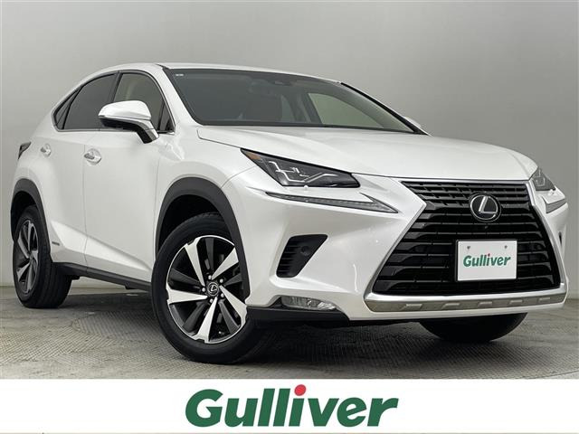 NX300h Iパッケージ