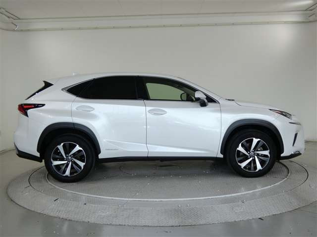 NX300h バージョンL