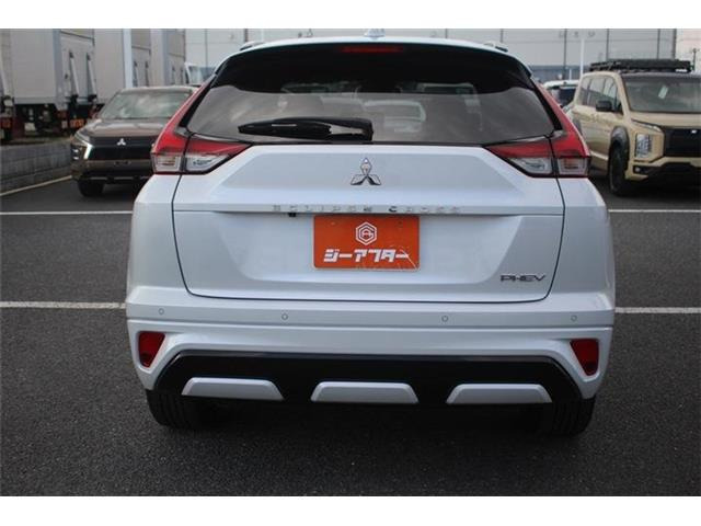 ���Ǝҗl�ւ̔̔��͂��f�肳���Ă��������܂��B �Ԍ������ԗ��̏ꍇ�́A�Ԍ����擾�������x�������z�ŕ\�����Ă���܂��B