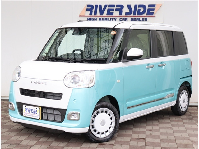 ムーヴキャンバスストライプス G