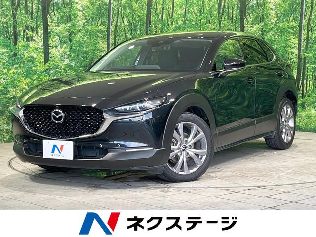 CX-301.8 XD プロアクティブ ツーリングセレクション