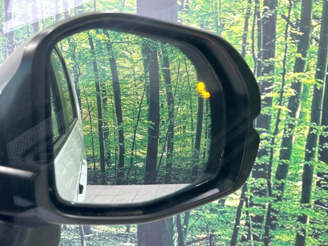 �y�u���C���h�X�|�b�g�C���t�H���[�V�����z���s���A�h�A�~���[�̎��p�ɂȂ�₷���ӏ��Ɍ㑱�Ԃ��ڋ߂���ƃT�C�h�~���[�t�߂Ɍx����\���A�h���C�o�[�ɒ��ӊ��N�����Ă���܂��B