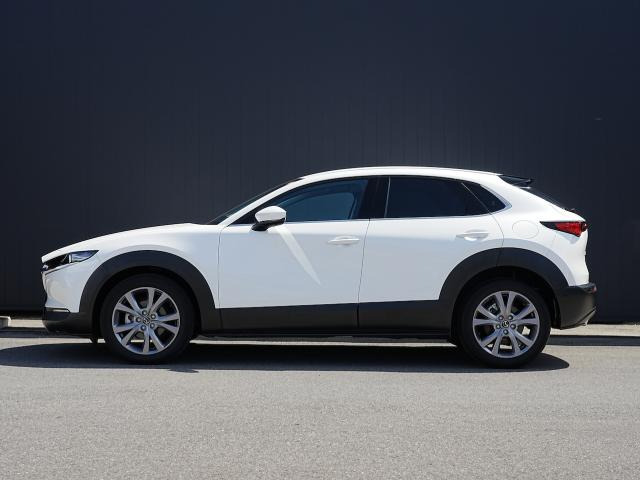 CX-301.8 XD プロアクティブ ツーリングセレクション