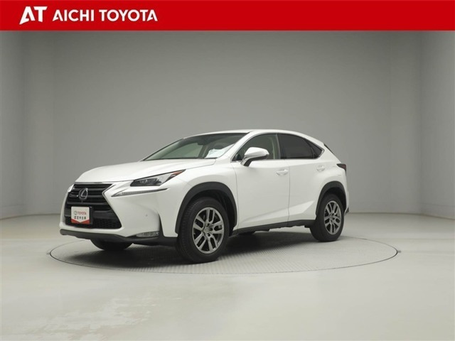 NX300h バージョンL