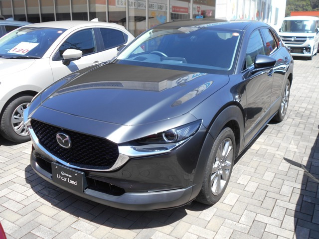 CX-301.8 XD プロアクティブ ツーリングセレクション