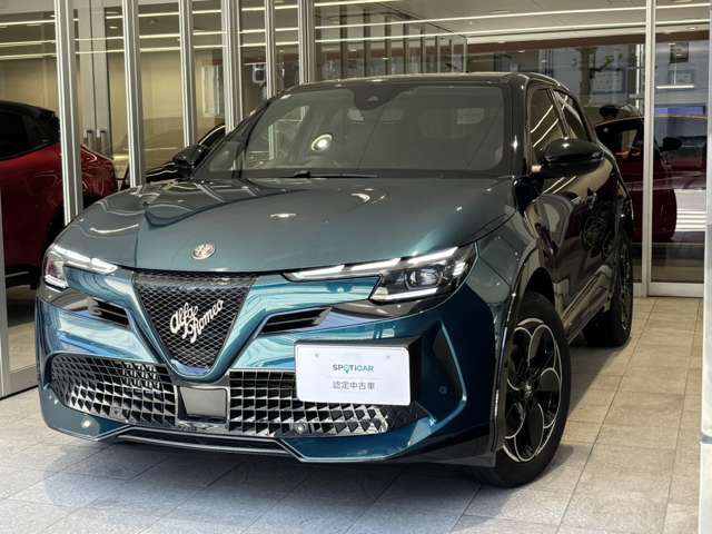 ジュニアイブリダ プレミアム