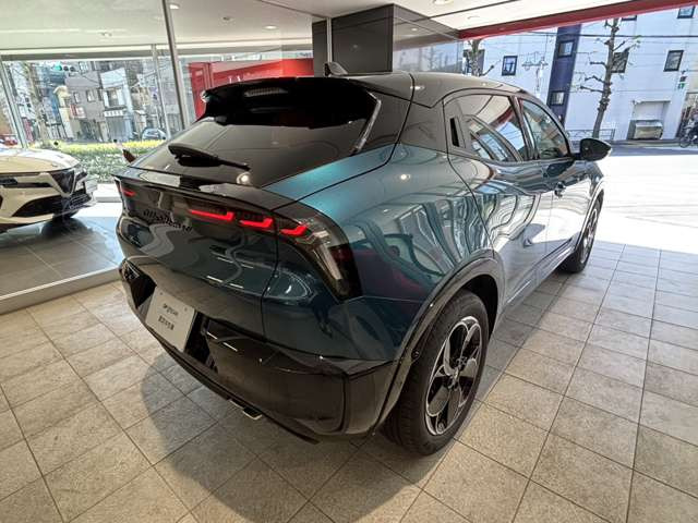 ジュニアイブリダ プレミアム