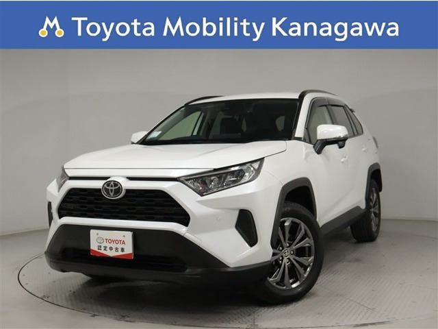 RAV42.0 X