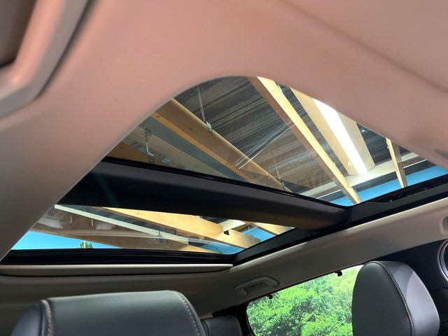 �y��^�T�����[�t�z�ԓ��̉��������C�ɏオ���^�̃p�m���}���[�t!�G�߂��킸�J���I�ŉ��K�ȃh���C�u�����y���݂��������܂��B���ʗʂ����Ȃ��󏭉��l�̍����l�C�̑����ł���