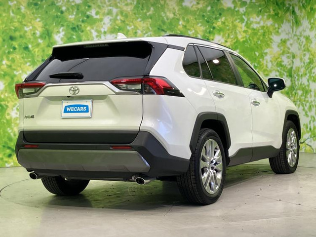 RAV42.0 G Zパッケージ 4WD