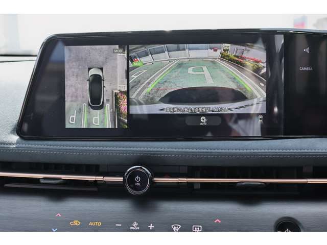 アリアB6 e-4ORCE リミテッド 4WD