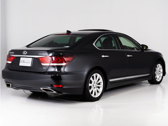 �G�A���J�X�^����A���~�J�X�^���Ȃǂ̃h���X�A�b�v���������\!