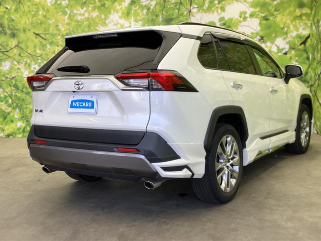RAV42.0 G Zパッケージ 4WD