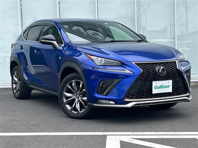 NX300h Fスポーツ