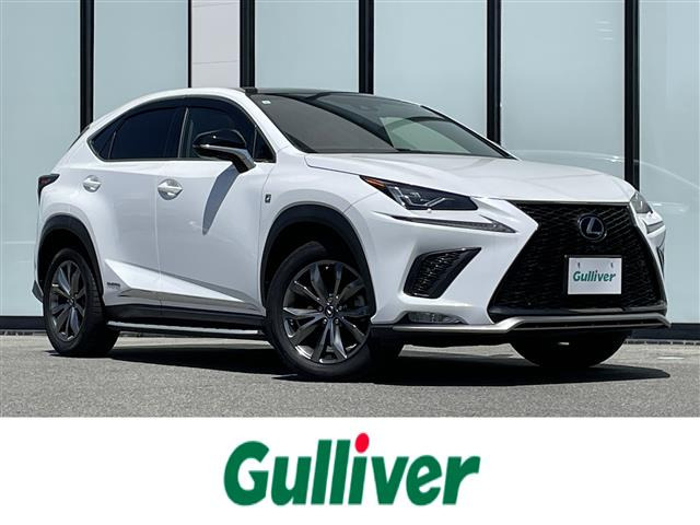 NX300h Fスポーツ