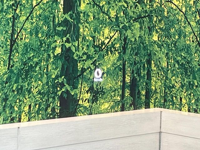 �y�w�b�h�A�b�v�f�B�X�v���C�z���݂̑��x�⑖�s�����f�W�^���\���ŉ^�]�ȑO���̃K���X�ɓ��e!�^�]���A�ڐ������炳���K�v�ȏ����m�F�ł���̂łƂ��Ă��֗��ň��S!