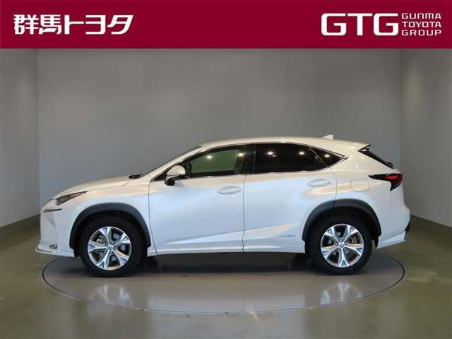 NX300h バージョンL