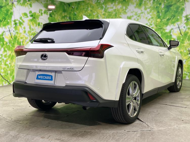 UX300h グレイスフル エクスプローラー