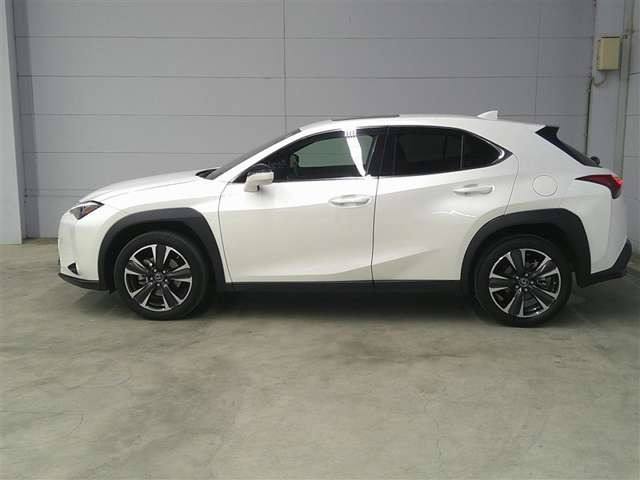 UX250h グレイスフル エクスプローラー