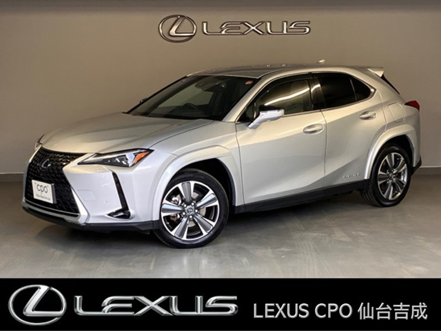 UX300e バージョンL