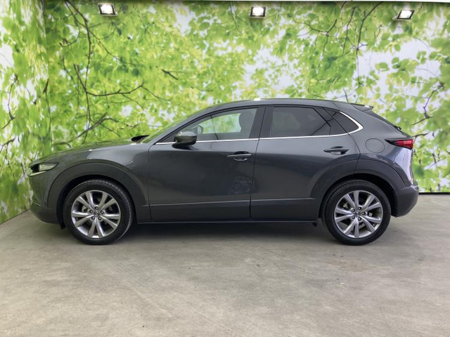 CX-302.0 20S プロアクティブ