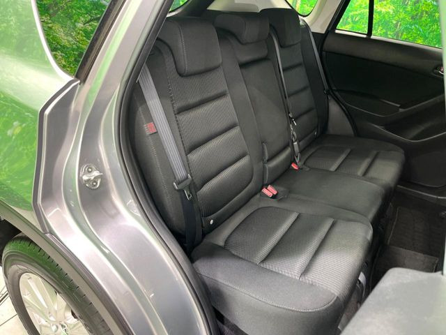 �㕔���Ȃ��C�ɂȂ�悤�ȃL�Y�E�����ւ��蓙�A�傫�ȃ_���[�W�͂Ȃ��A�ǍD�ȏ�Ԃł��B