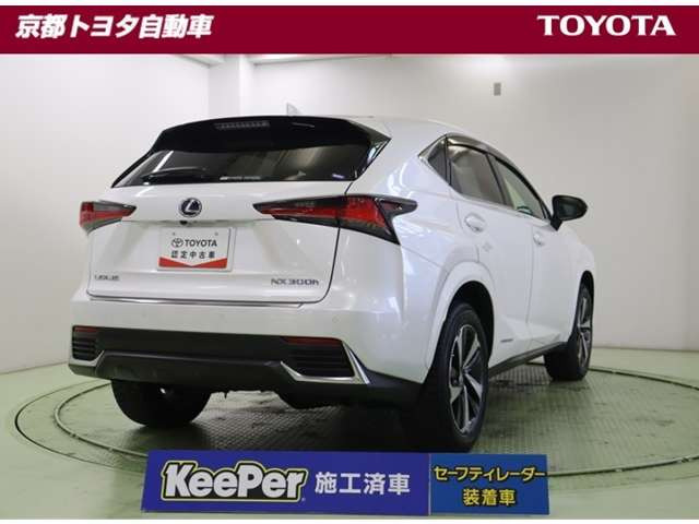 NX300h スパイス&amp;シック 4WD