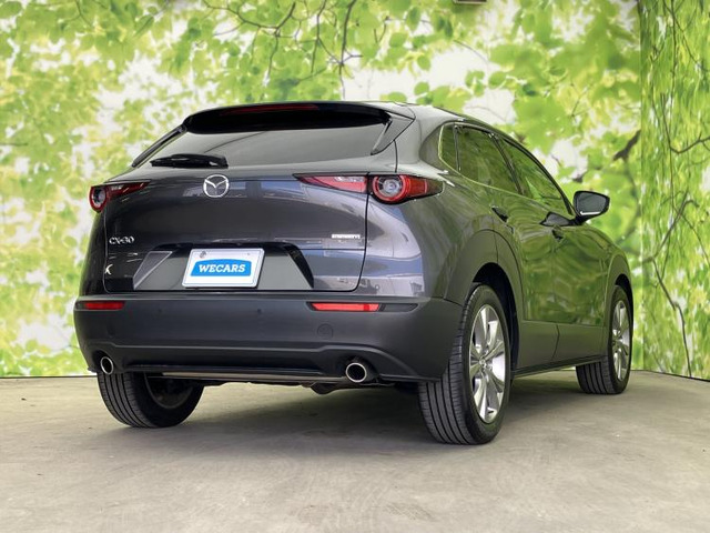 CX-302.0 20S プロアクティブ