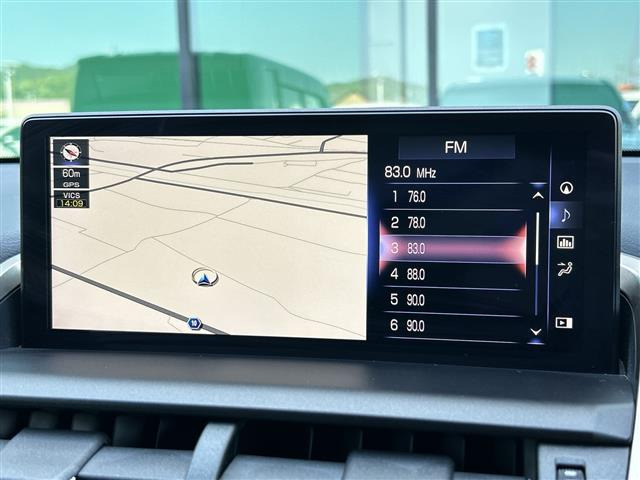 NX300h Fスポーツ