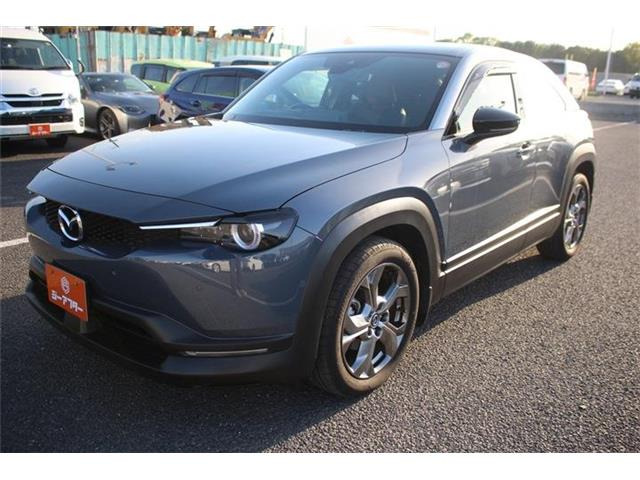 ���Ǝҗl�ւ̔̔��͂��f�肳���Ă��������܂��B �Ԍ������ԗ��̏ꍇ�́A�Ԍ����擾�������x�������z�ŕ\�����Ă���܂��B