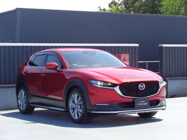 CX-301.8 XD プロアクティブ