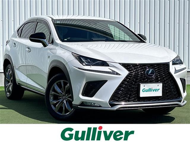 NX300h Fスポーツ