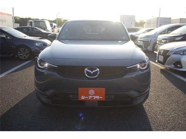 ���Ǝҗl�ւ̔̔��͂��f�肳���Ă��������܂��B �Ԍ������ԗ��̏ꍇ�́A�Ԍ����擾�������x�������z�ŕ\�����Ă���܂��B