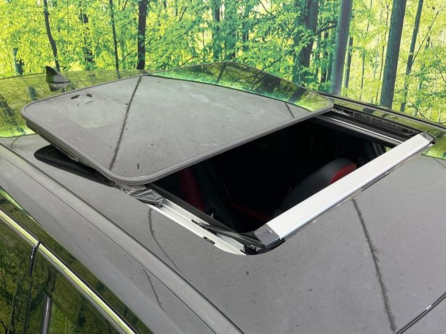 NX300h Fスポーツ