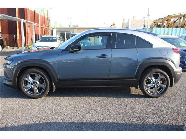 ���Ǝҗl�ւ̔̔��͂��f�肳���Ă��������܂��B �Ԍ������ԗ��̏ꍇ�́A�Ԍ����擾�������x�������z�ŕ\�����Ă���܂��B