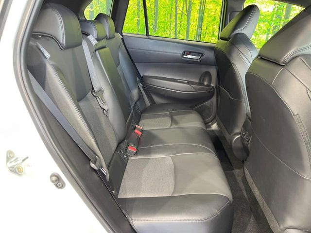 �㕔���Ȃ��C�ɂȂ�悤�ȃL�Y�E�����ւ��蓙�A�傫�ȃ_���[�W�͂Ȃ��A�ǍD�ȏ�Ԃł��B