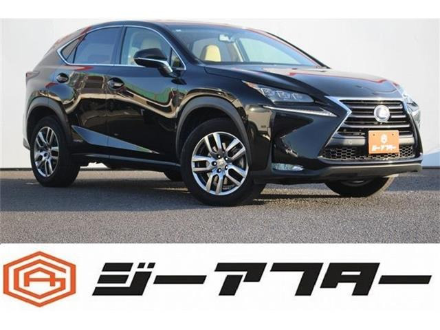 NX300h Iパッケージ