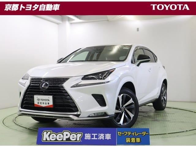 NX300h スパイス&amp;シック 4WD