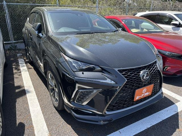 NX300h Iパッケージ