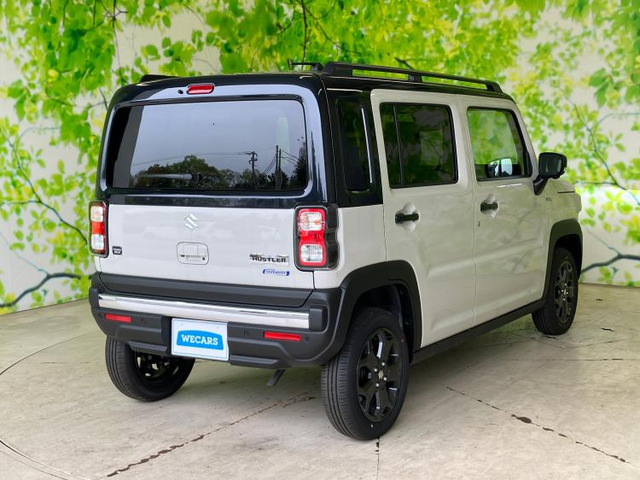 ハスラータフワイルド