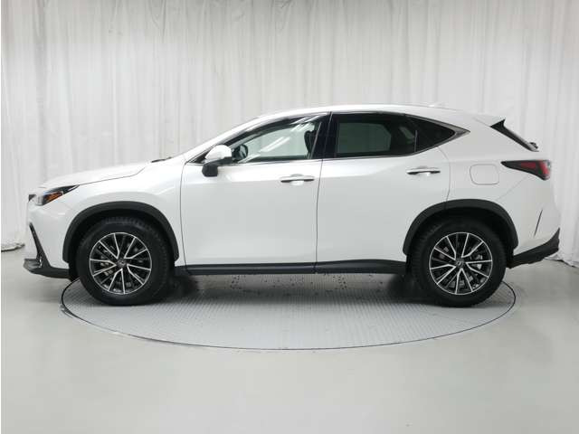 NX250 バージョンL 4WD