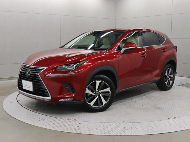 NX300 Iパッケージ