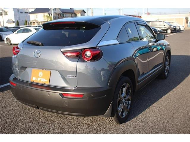 ���Ǝҗl�ւ̔̔��͂��f�肳���Ă��������܂��B �Ԍ������ԗ��̏ꍇ�́A�Ԍ����擾�������x�������z�ŕ\�����Ă���܂��B