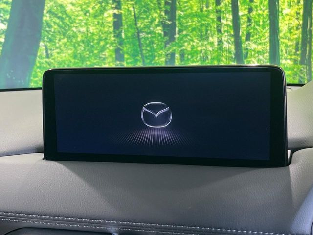 �y10.25�C���`�}�c�_�R�l�N�g�z�ԓ��̕��͋C�Ƀ}�b�`������^�f�B�X�v���C�B�X�}�z�ڑ��ł̃i�r�g�p��Bluetooth�Đ����A�l�X�ȋ@�\���y���߂܂��B�����I�ȃ_�C�������삪�\�ŁA�g��������ǍD�ł��B