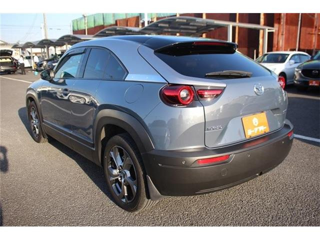 ���Ǝҗl�ւ̔̔��͂��f�肳���Ă��������܂��B �Ԍ������ԗ��̏ꍇ�́A�Ԍ����擾�������x�������z�ŕ\�����Ă���܂��B