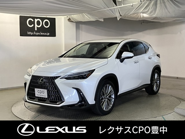 NX250 バージョンL