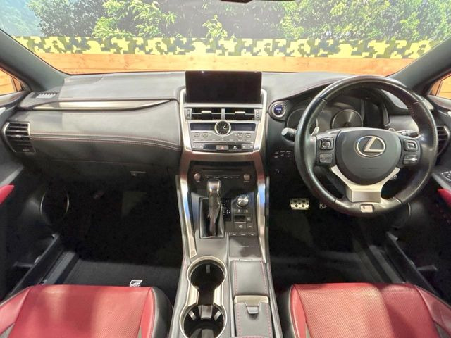 NX300h Fスポーツ